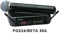 PGX24/BETA 58A